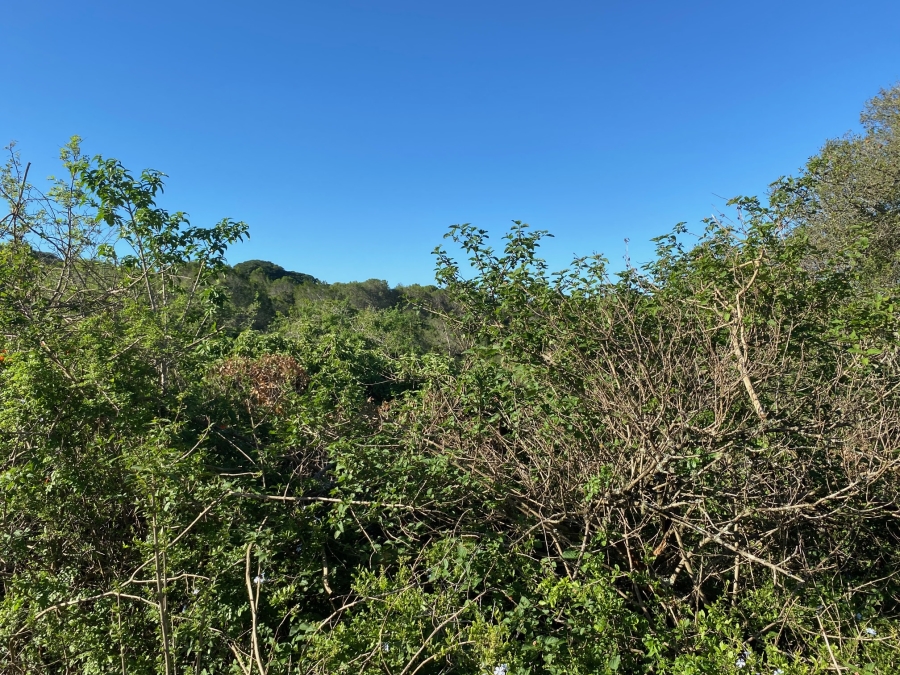 0 Bedroom Property for Sale in Bathurst Eastern Cape